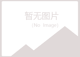 龙陵县夏岚建设有限公司